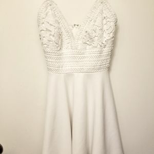Privy Lace Skater Dress